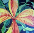 /album/malby/flora-1-jpg/